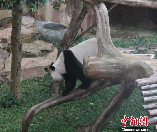 D顰ߡ(d)ľ z