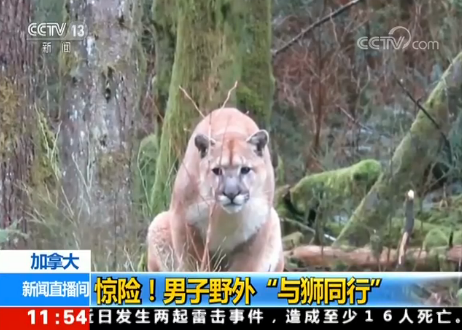 ô@U(xin)Ұ⡰c{ͬС