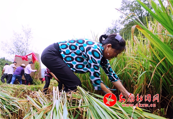 6.ڬF(xin)(chng)ֻҊ10λֳץһRĔ[“”Ҋpᘣ