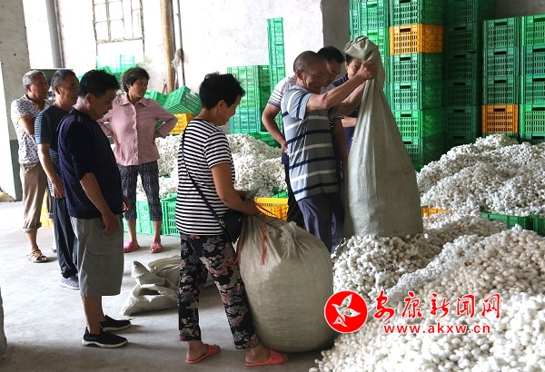 ʯȪ�غӴ����Q�O��ُ(g��u)����ͻ��4�f(w��n)�� �zӰ�·�(gu��)·.jpg