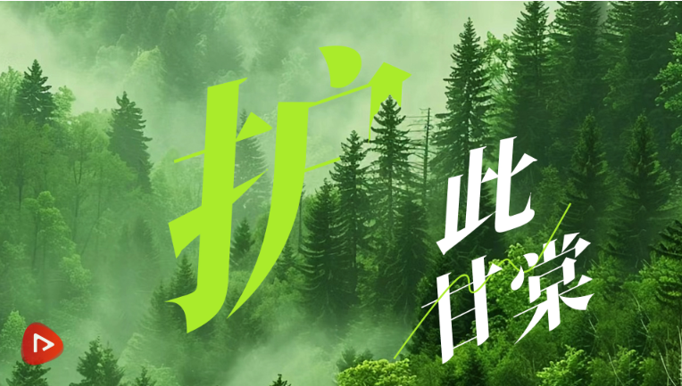 Snipaste_2025-06-08_09-53-58.png
