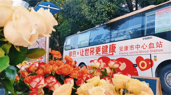 安康這三兄妹，熱血！