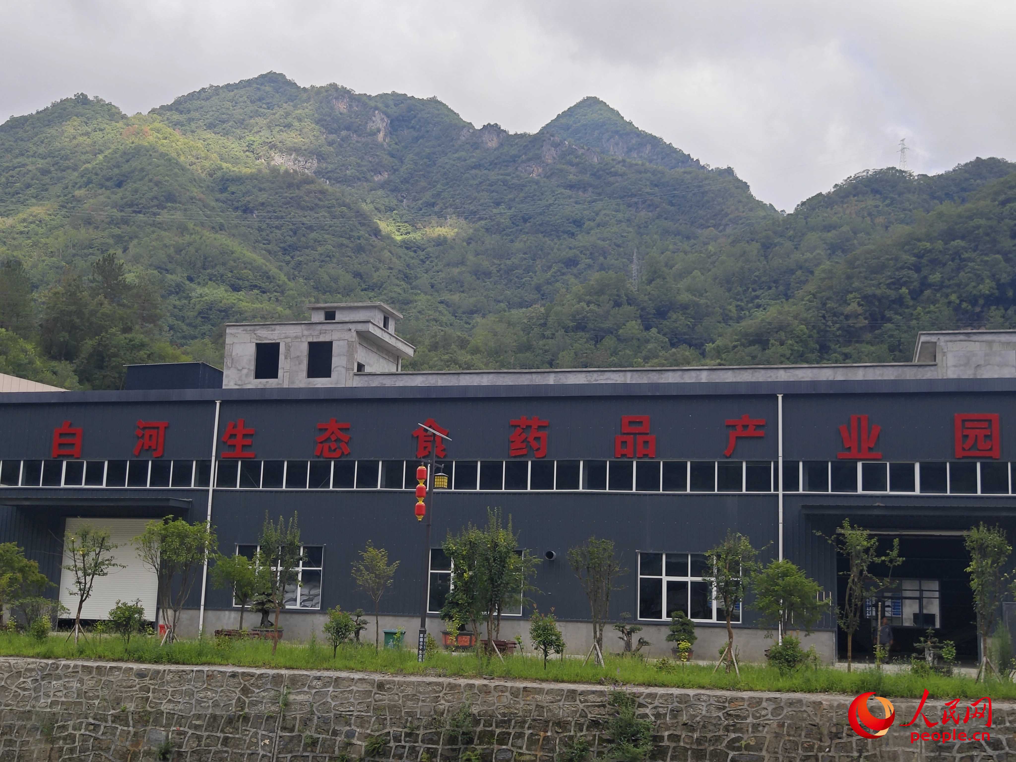 卡子鎮(zhèn)新建的社區(qū)工廠。人民網(wǎng)記者 黃鈺攝