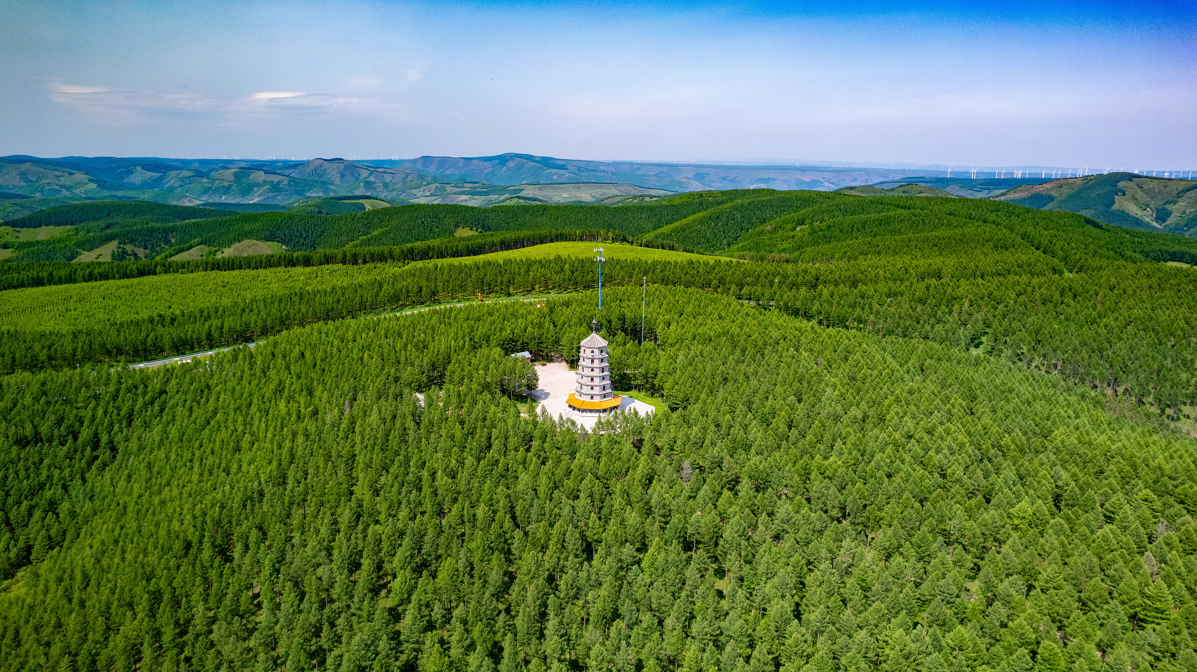 2025年6月11日，河北承德，塞罕壩林海浩渺。